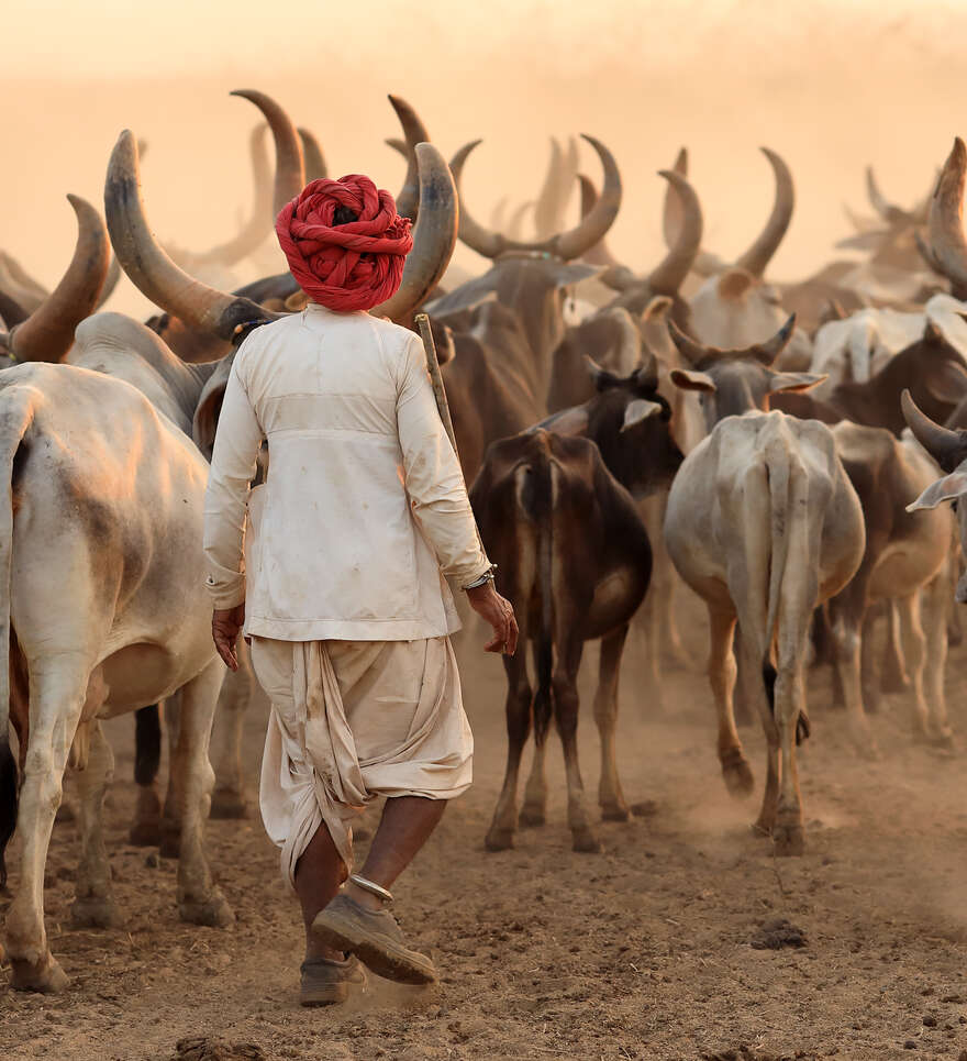 Pourquoi choisir Cercle des Voyages pour votre circuit en petit groupe en Inde ?