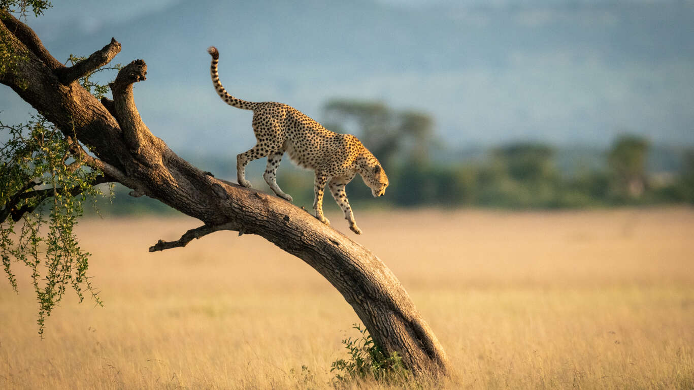 Voyage Tanzanie