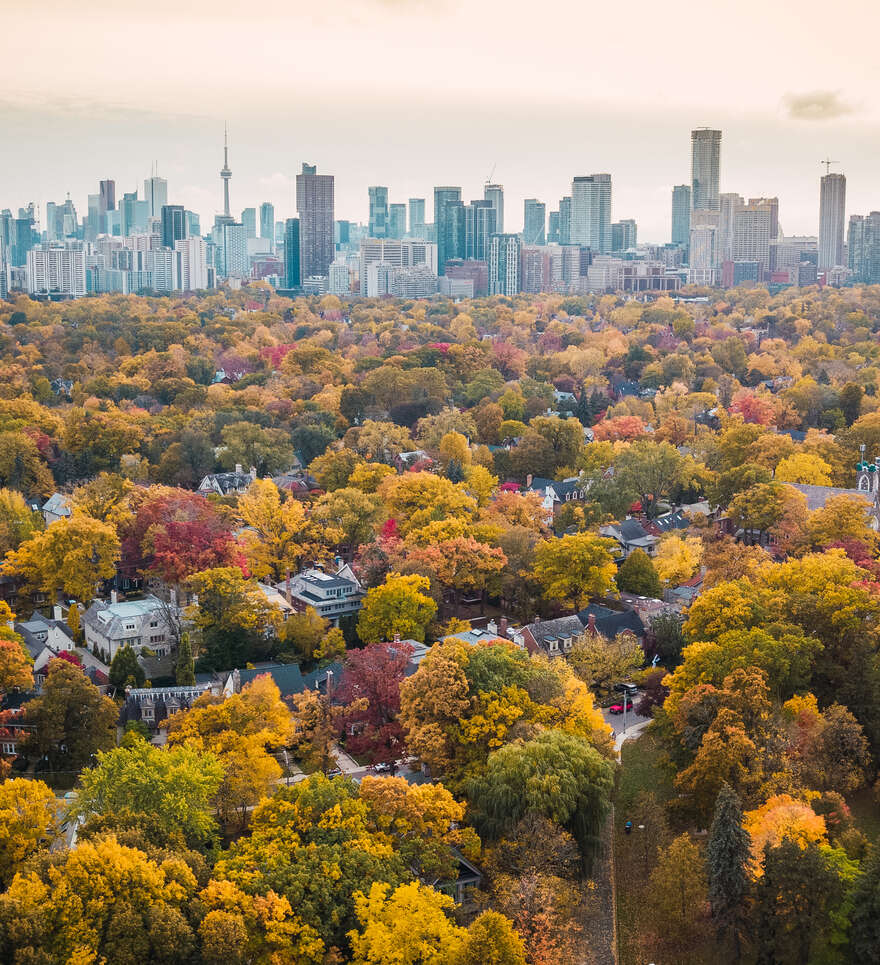 Une ville où la nature est présente