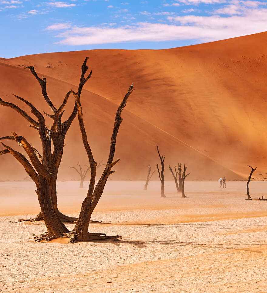 Désert du Namib : incontournable Sossusvlei