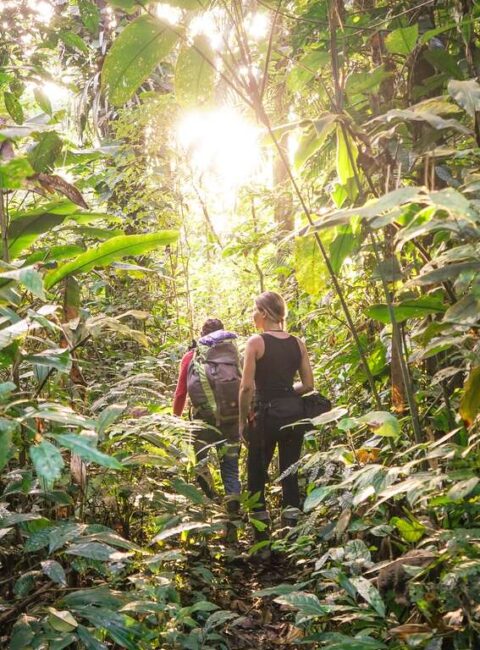 L'Equateur, terre d'aventures