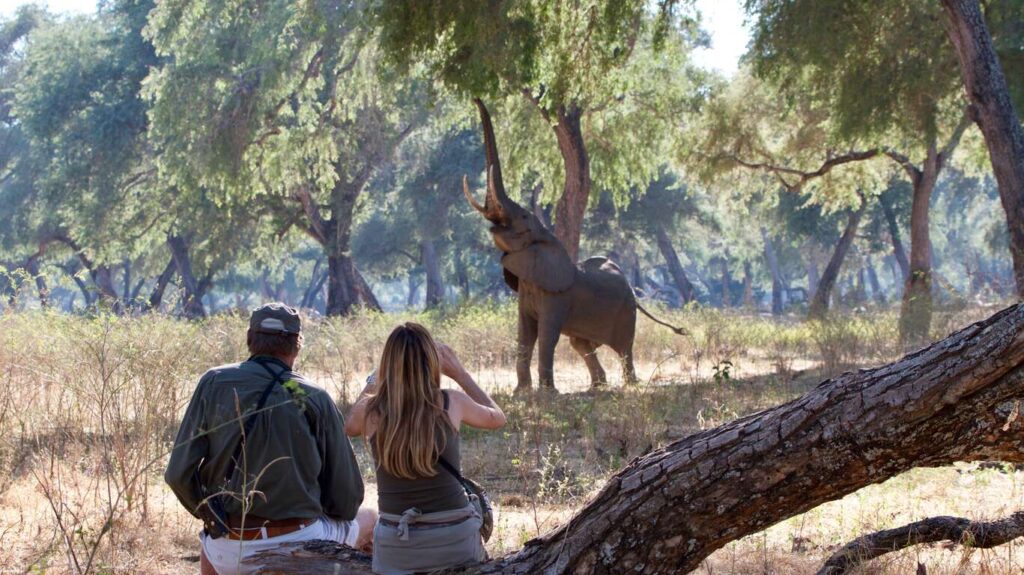 Circuit 10 nuits avec safaris au Zimbabwe