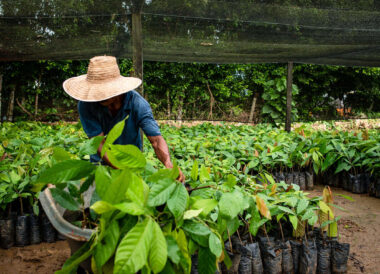 La Colombie responsable : Rencontres et Traditions