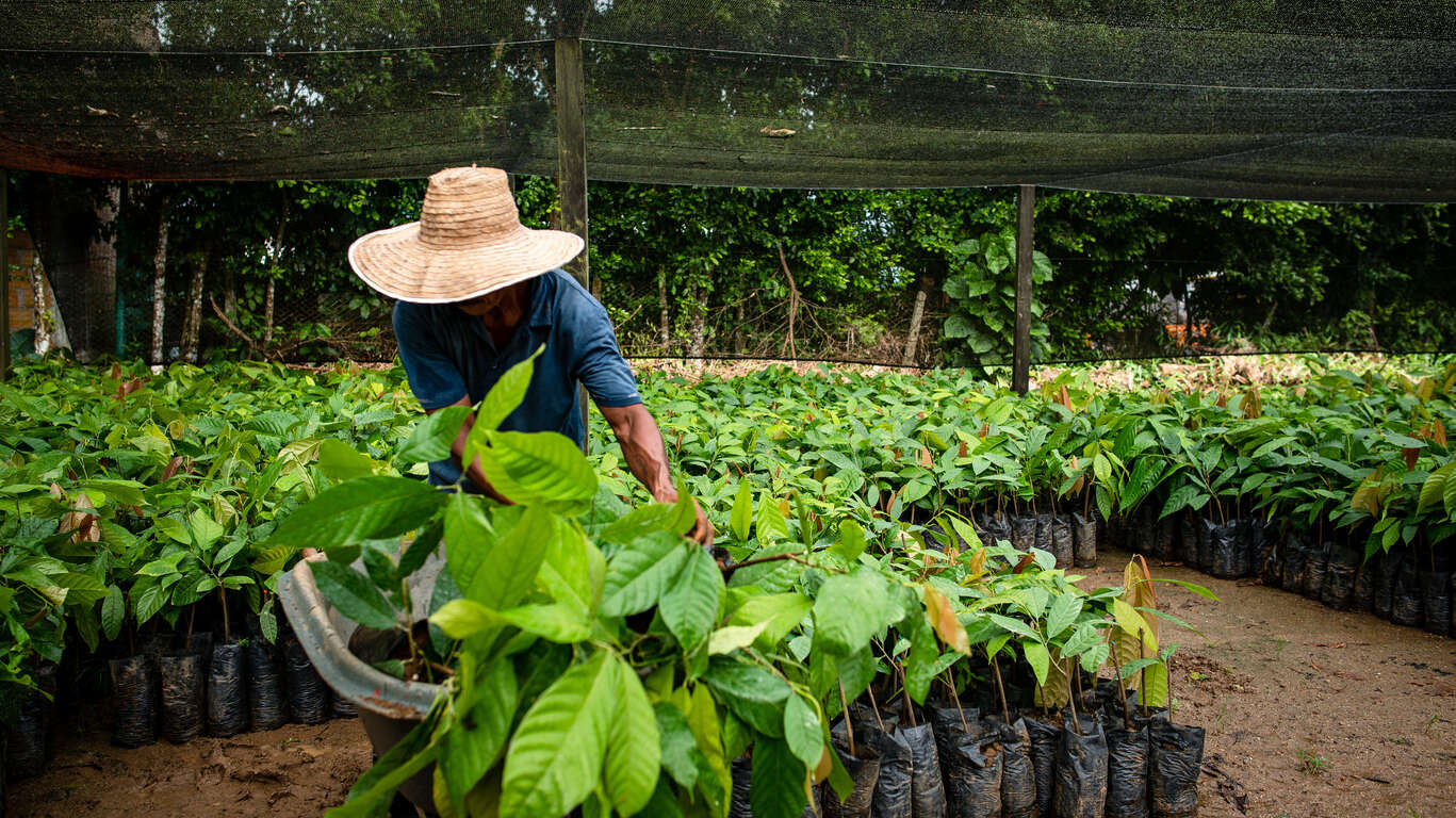 La Colombie responsable : Rencontres et Traditions