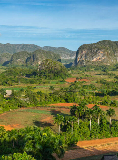 L’Ouest de Cuba : Café, tabac, orchidées et ... Cayo Levisa