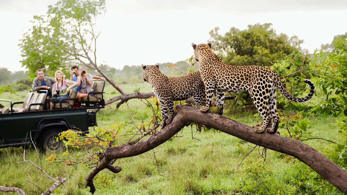 Du Cap au Drakensberg : l'Afrique du Sud, grandeur nature