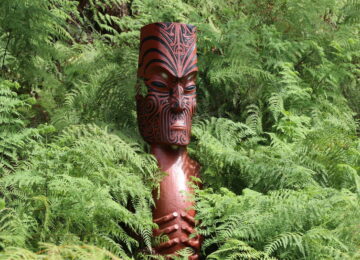Sur les traces des Maoris : trois semaines en Nouvelle-Zélande