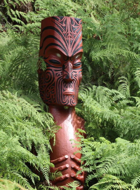 Sur les traces des Maoris : trois semaines en Nouvelle-Zélande