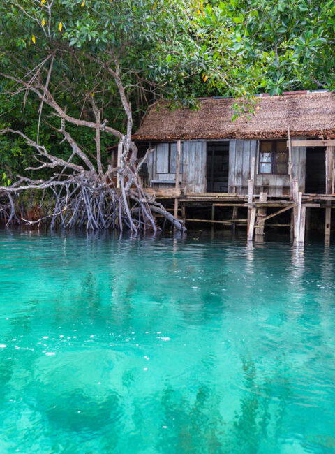 Îles Célèbes