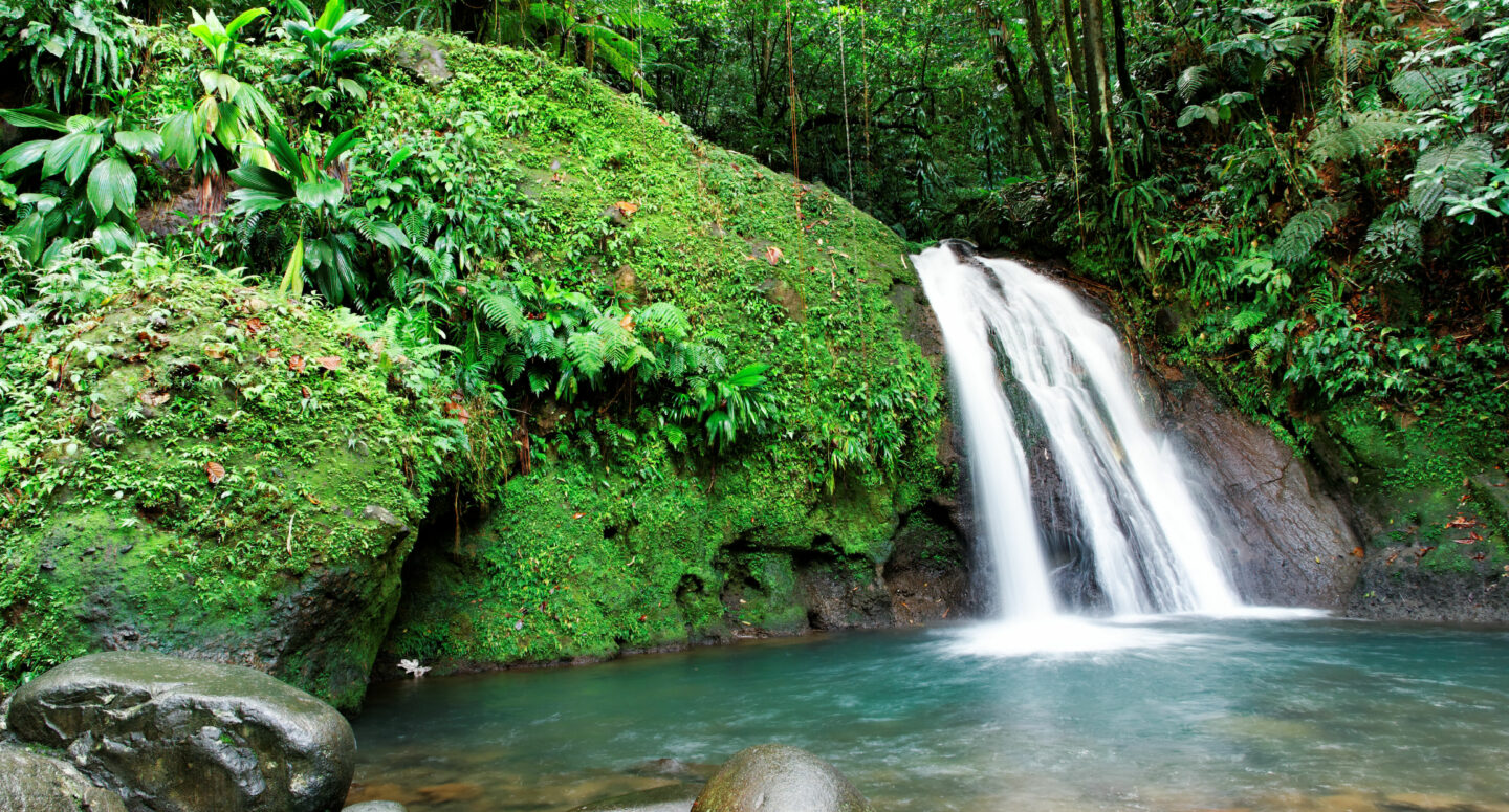 La Martinique en profondeur et authentique