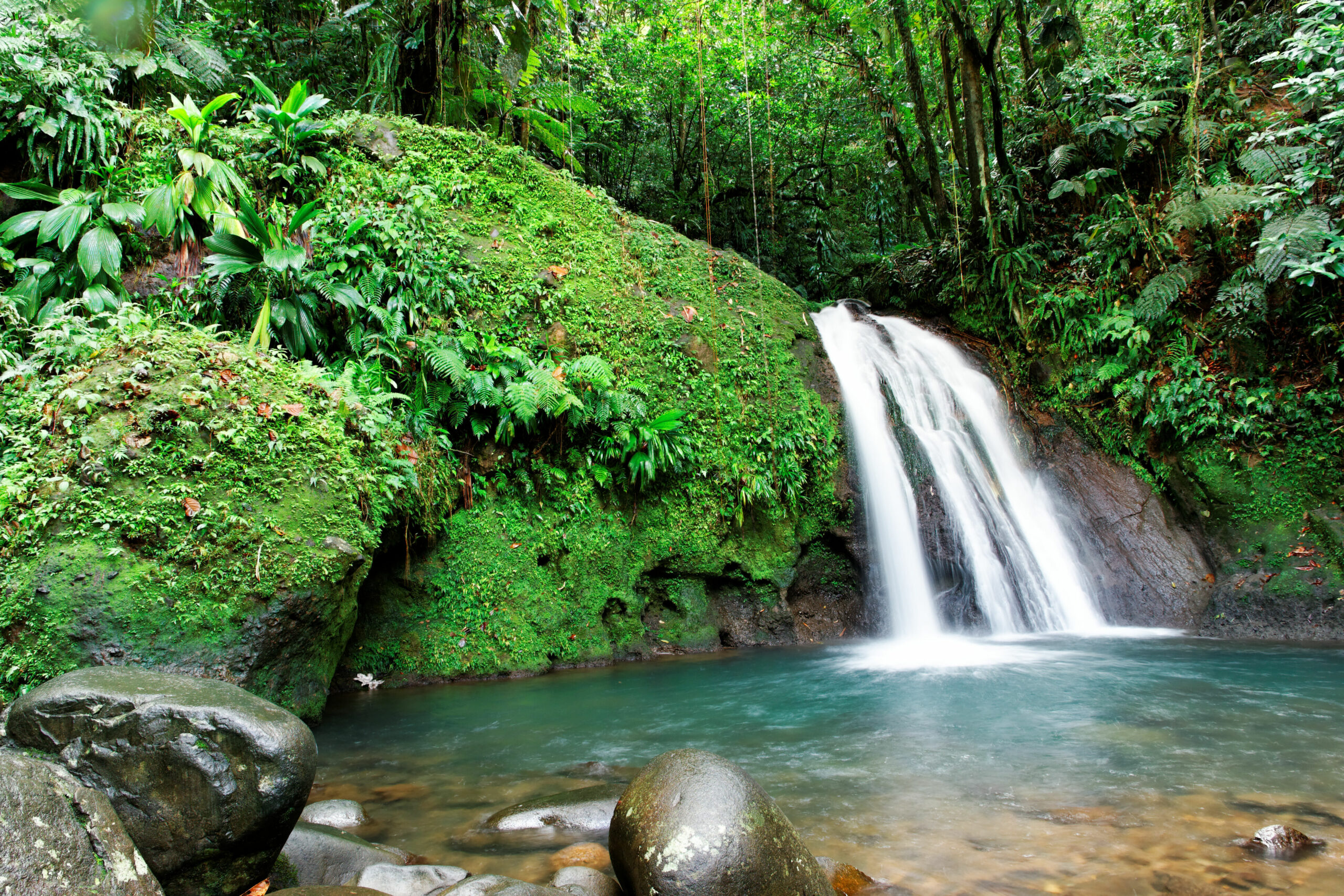 La Martinique en profondeur et authentique