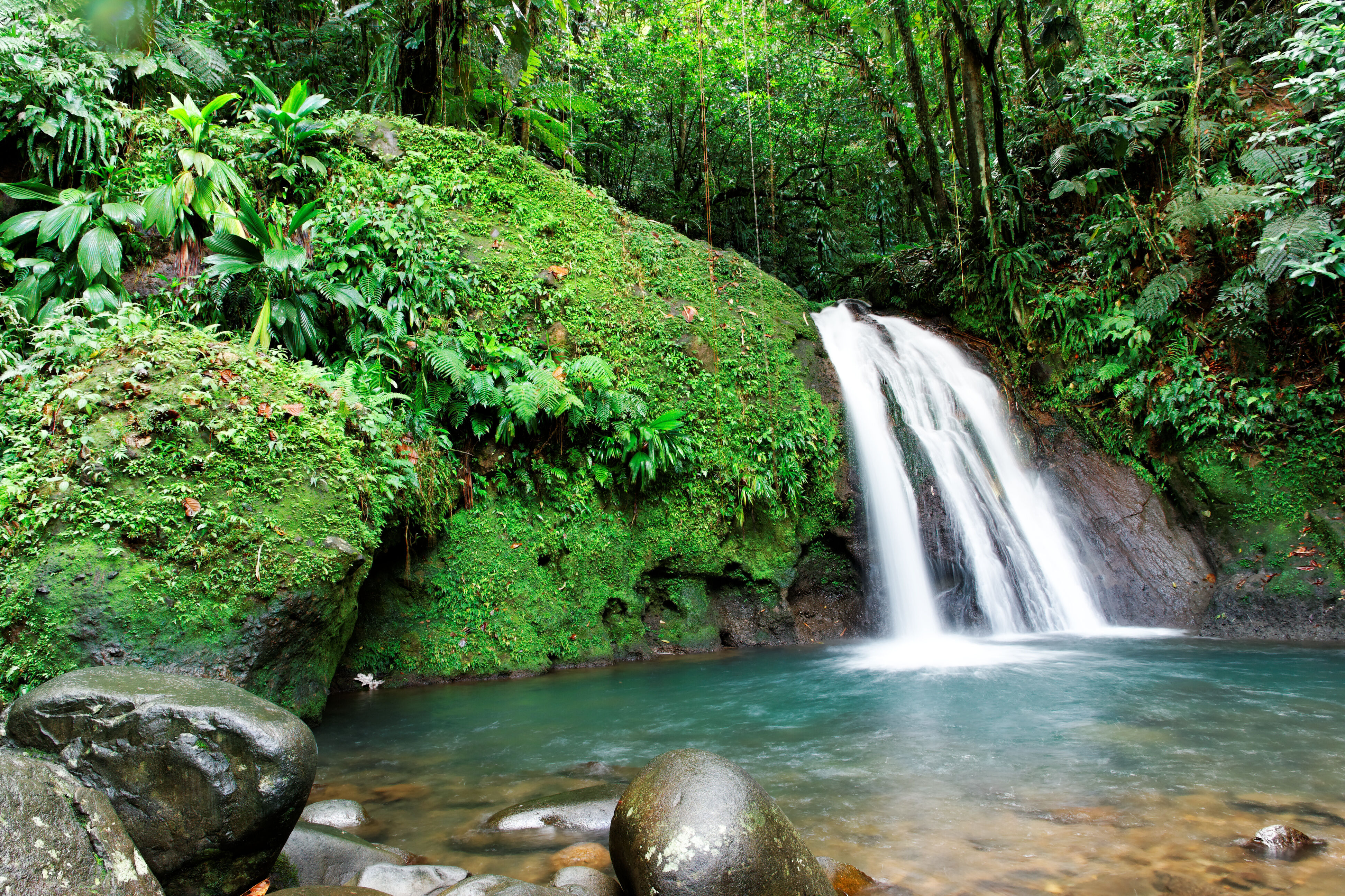 La Martinique en profondeur et authentique