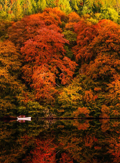 L'Ecosse aux couleurs de l'automne