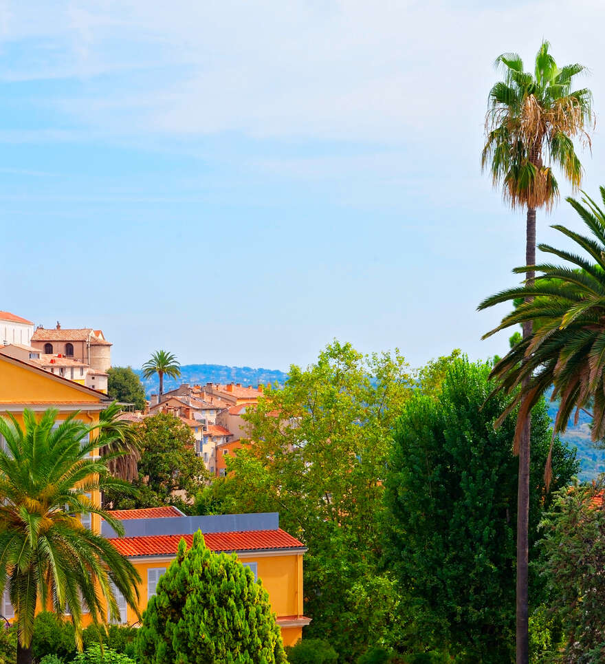 Le bon terroir de la Côte d’Azur