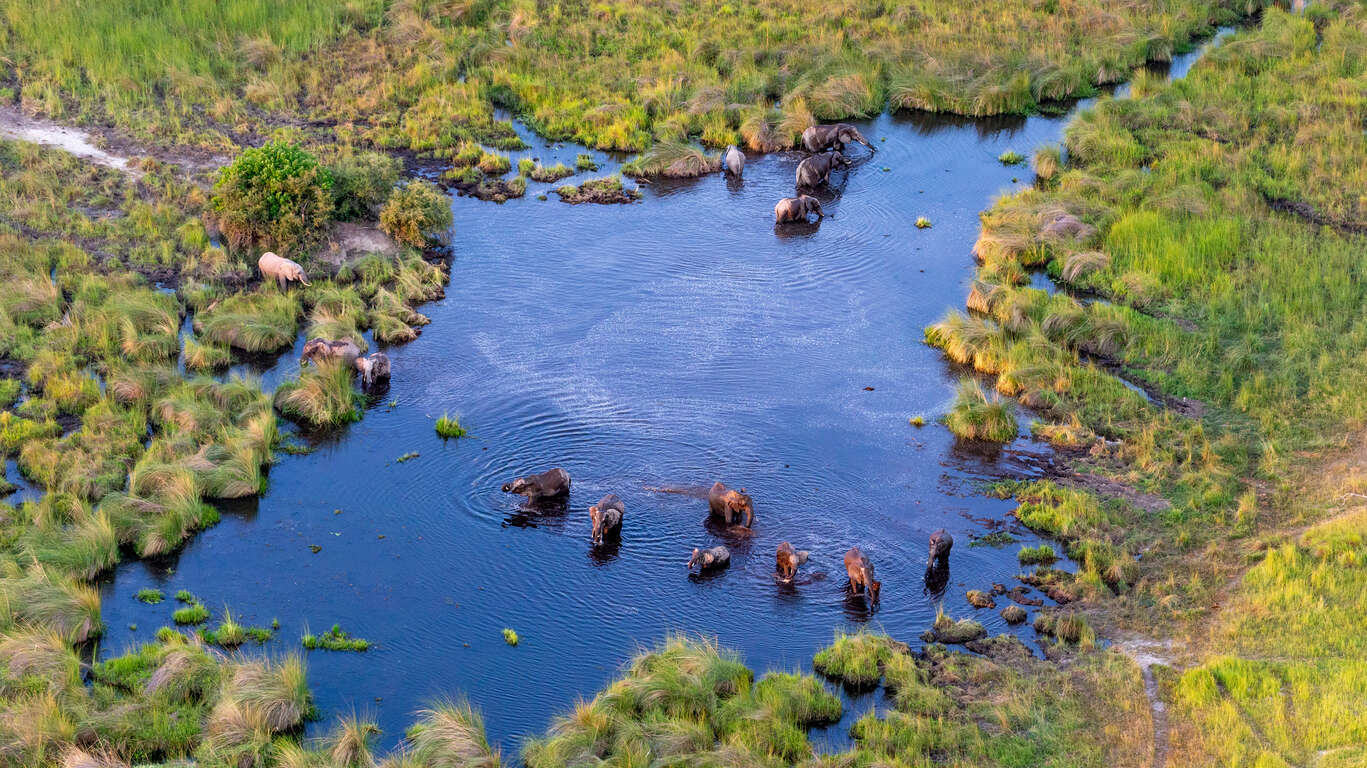 Safari camping au coeur de l'Okavango et Chutes Victoria