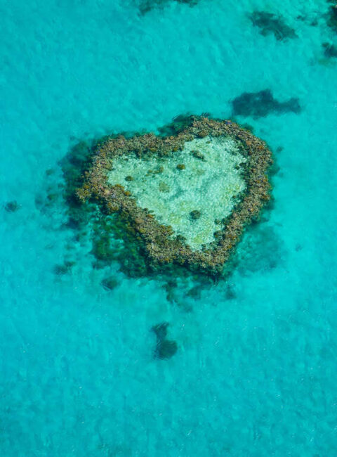 Voyage de Noces en Australie, entre terre rouge et corail