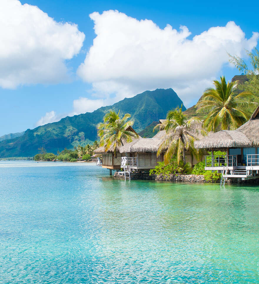 Découvrez nos circuits vous invitant à explorer la magnifique île de Tahiti