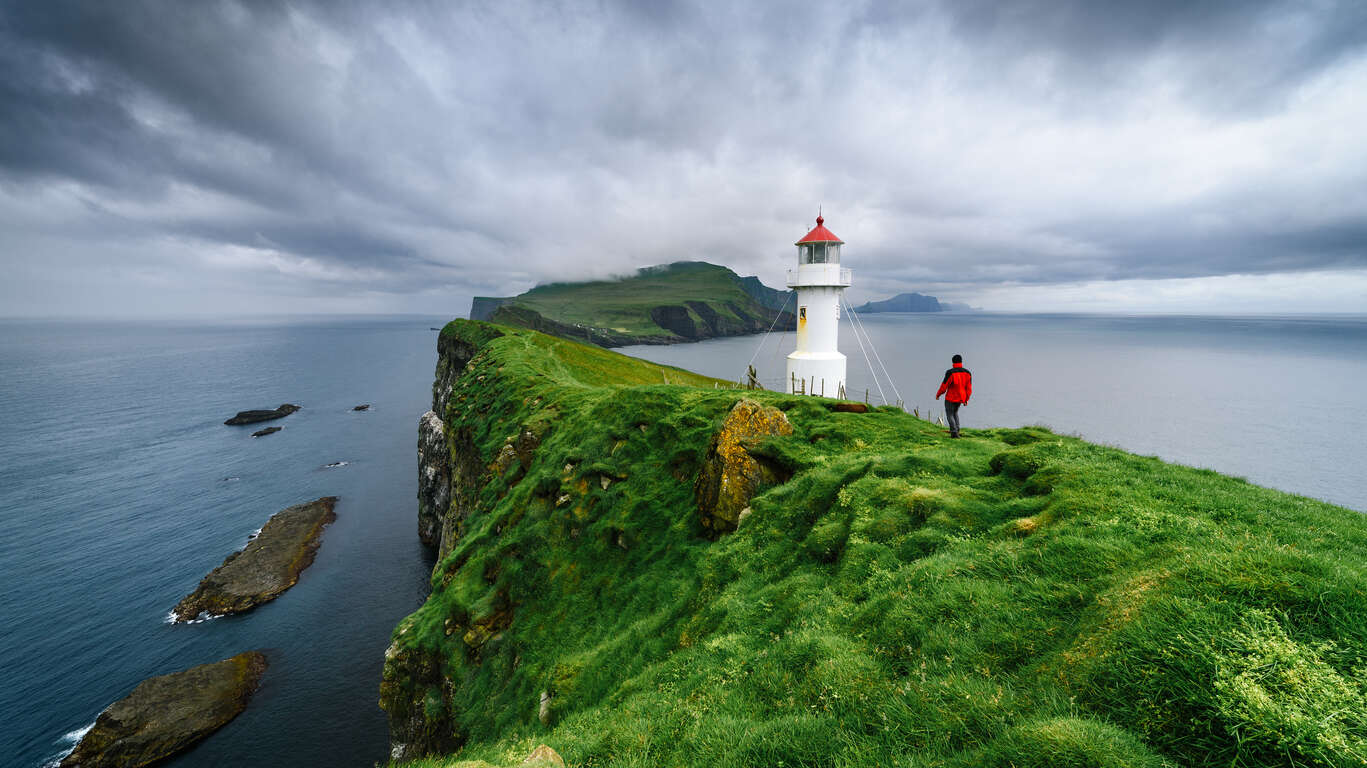 Découverte complète des Iles Féroé, paradis des oiseaux