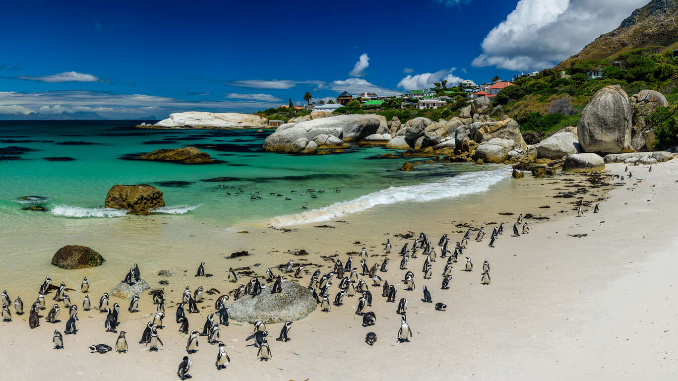 Voyage en Afrique du Sud en famille