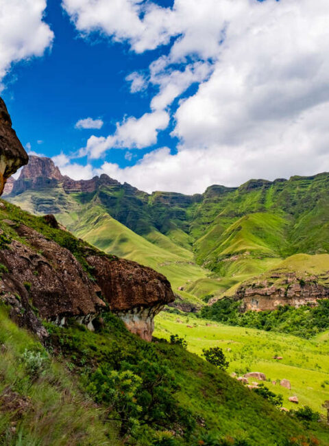 L’Afrique du Sud hors-piste jusqu'au Drakensberg