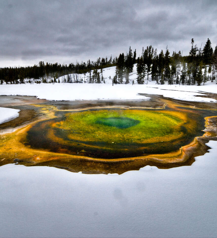 Explorez les Rocheuses et le Yellowstone : une nature à couper le souffle