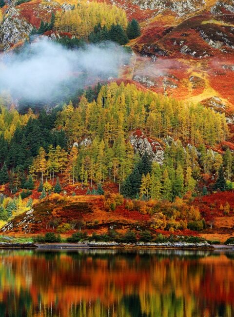 Voyage automne