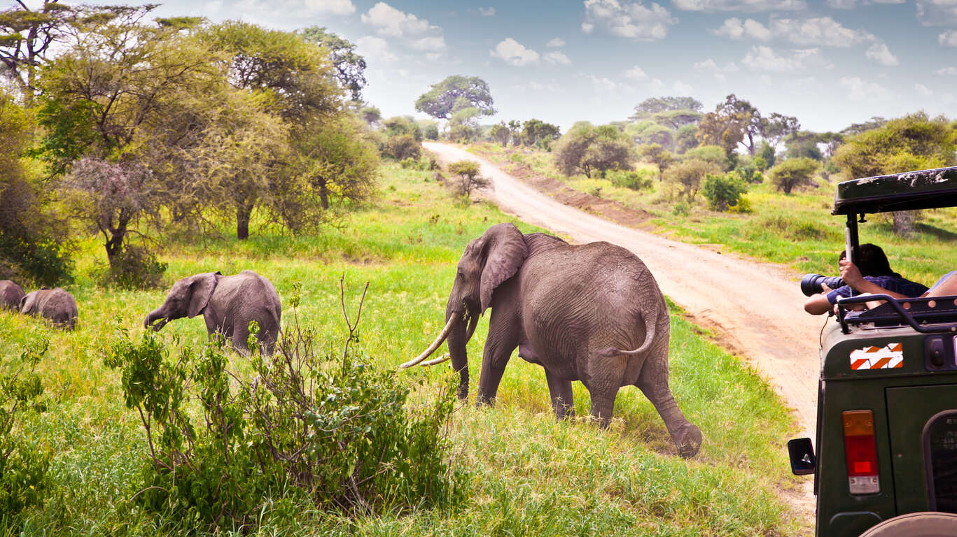 Pistes du Serengeti en 4x4 et balnéaire à Zanzibar