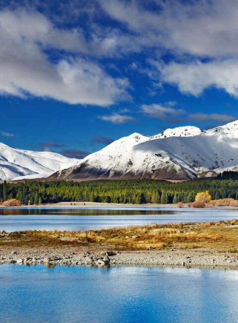Sur les Traces des Kiwis : deux semaines en Nouvelle-Zélande