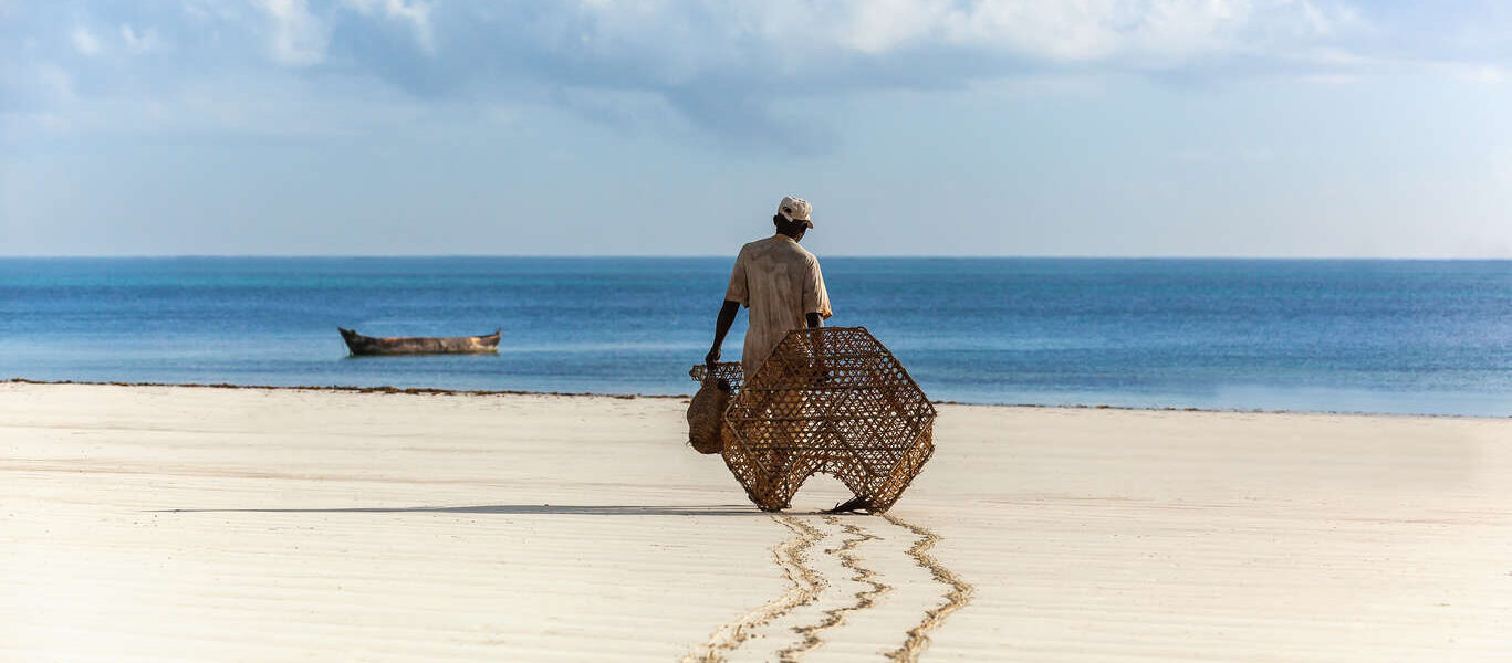 Eco Safari au Kenya et plages de l'océan indien