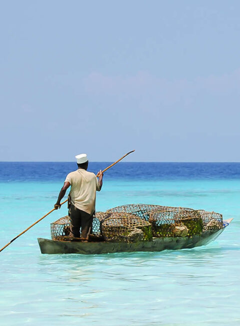 Oman et Zanzibar : un lien culturel