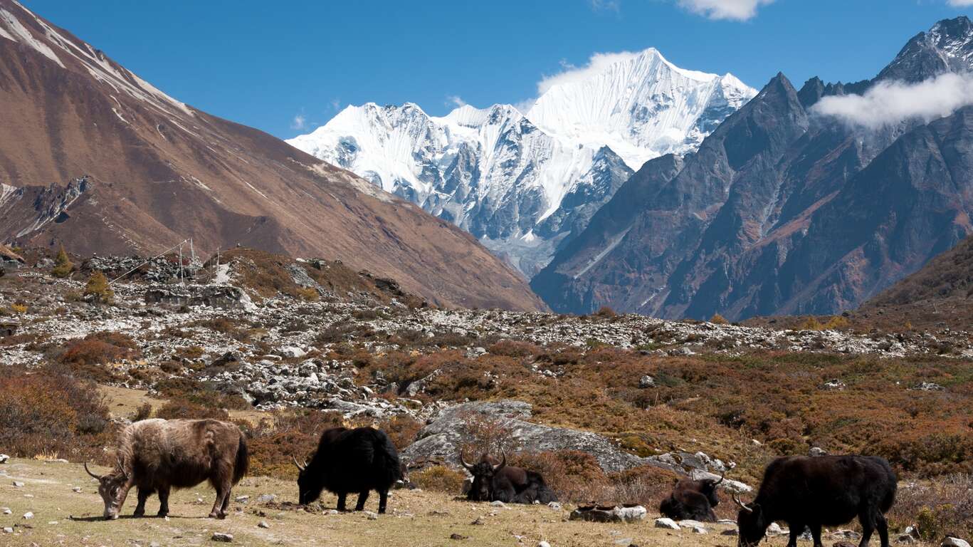 Katmandou et trek dans le Langtang sacré