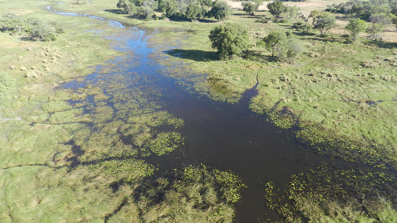 Safari camping au coeur de l’Okavango et Chutes Victoria
