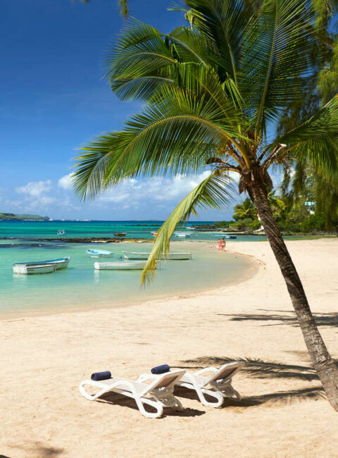 Combiné Maurice, Réunion, Seychelles