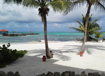 Voyage au cœur du Belize