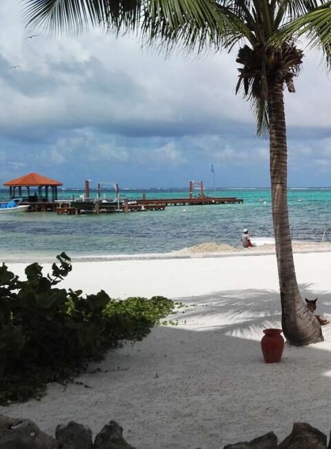 Voyage au cœur du Belize