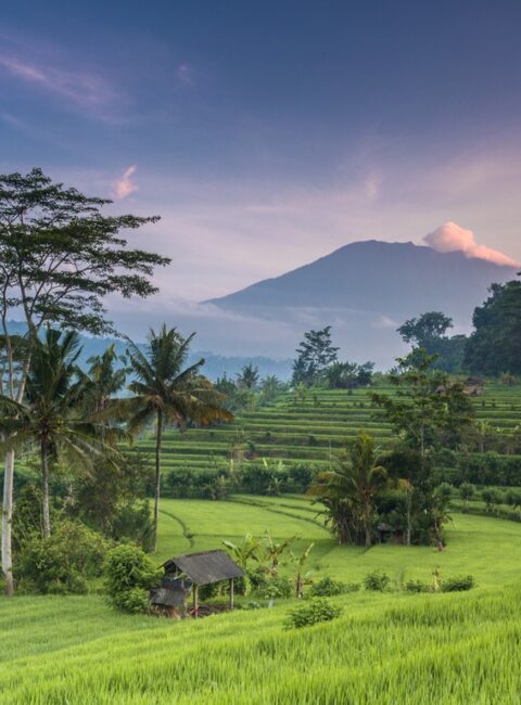 Bali