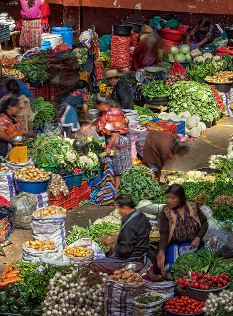 Immersion dans le monde Maya au Mexique et Guatemala