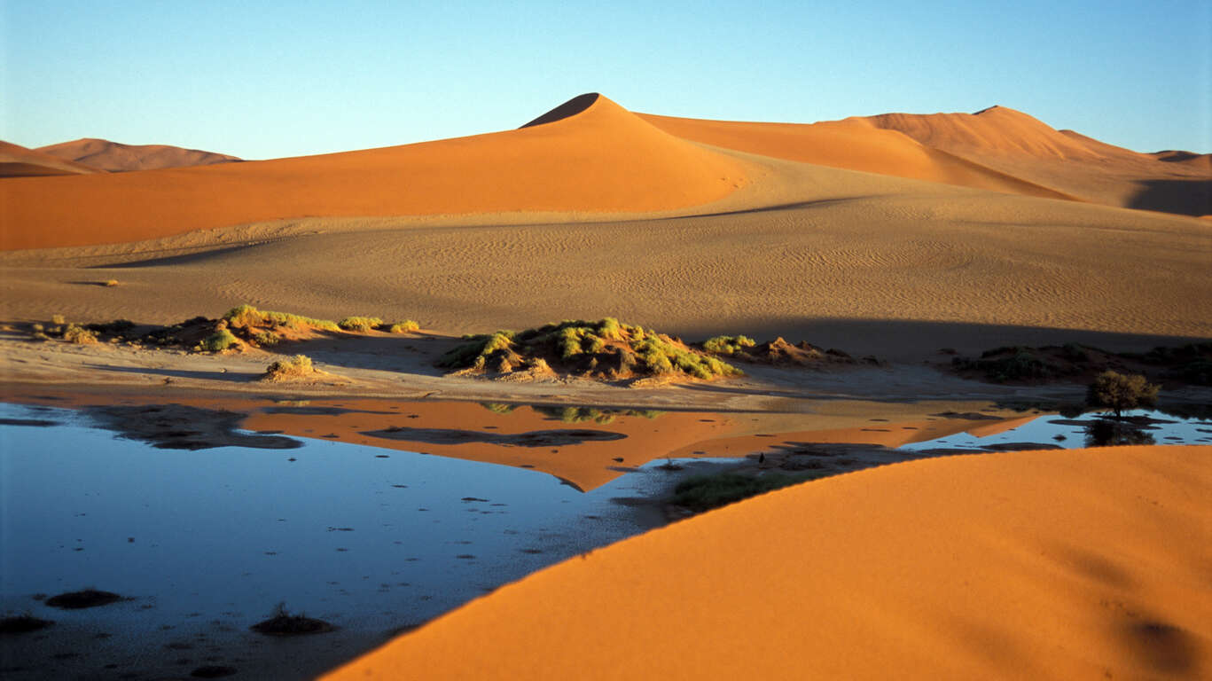 L’essentiel de la Namibie en liberté