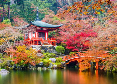 Le Japon aux couleurs de l’automne