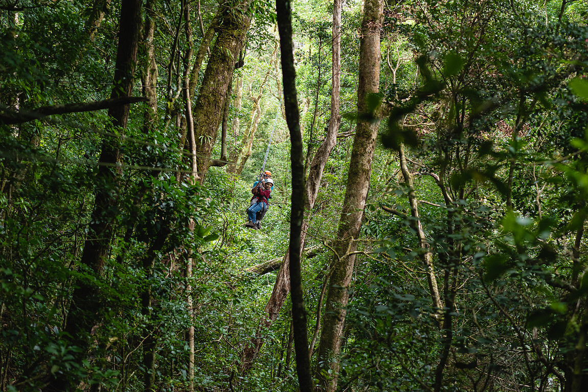 Voyage famille au Costa Rica