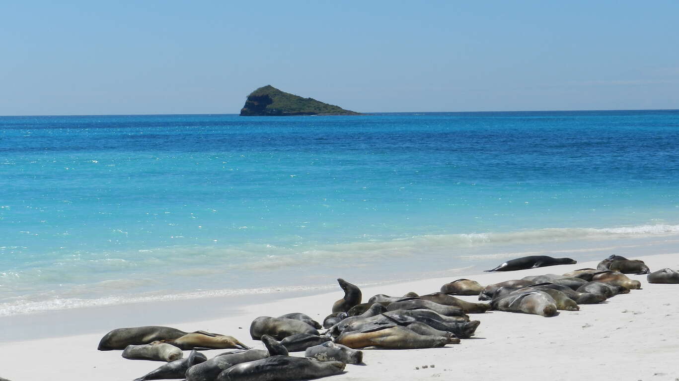 Les Galapagos d'île en île