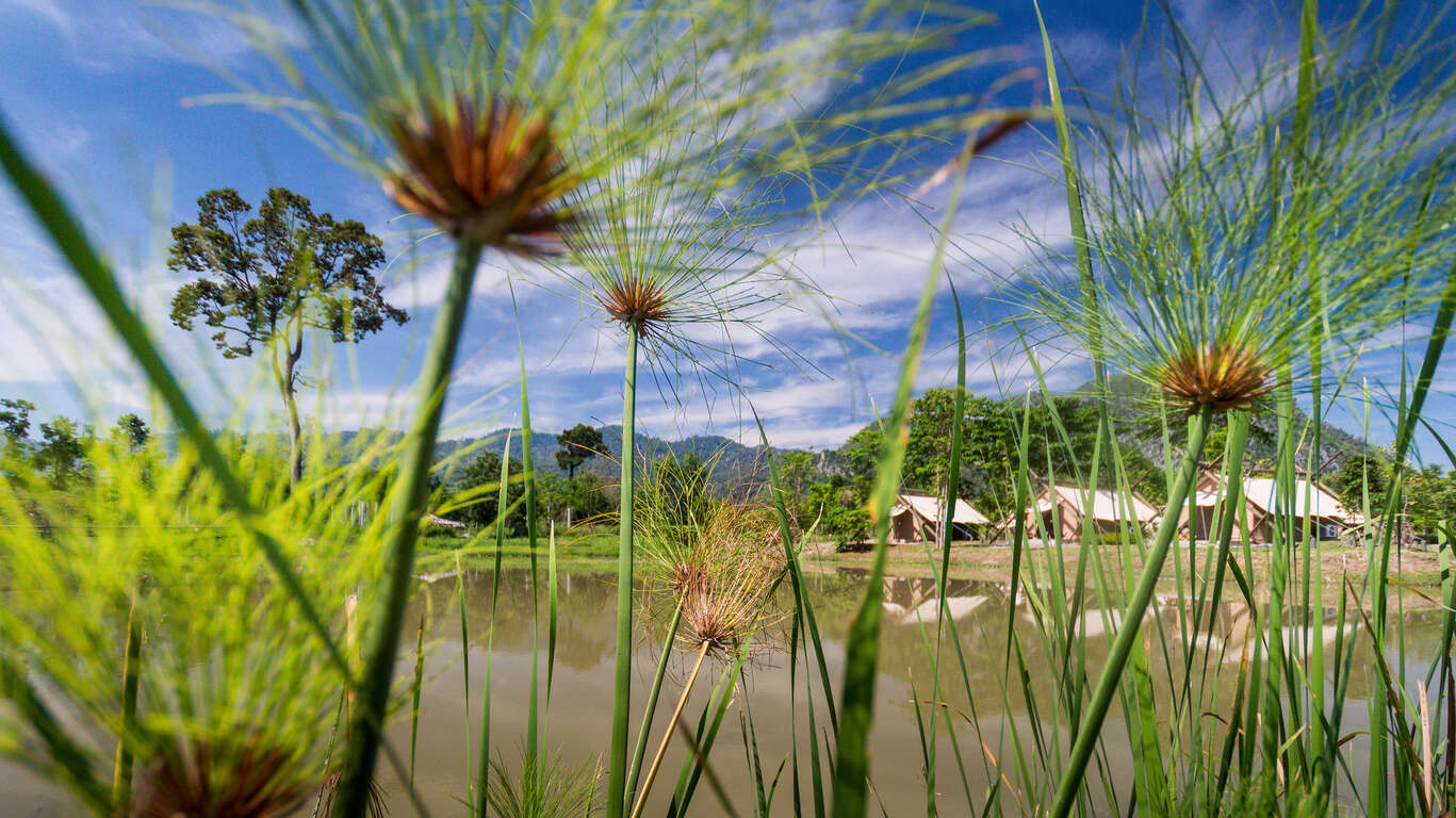 Ecolodges et adresses secrètes en Thaïlande