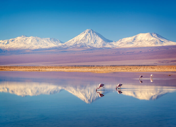 Le Chili intense : Atacama, Patagonie et Ile de Pâques