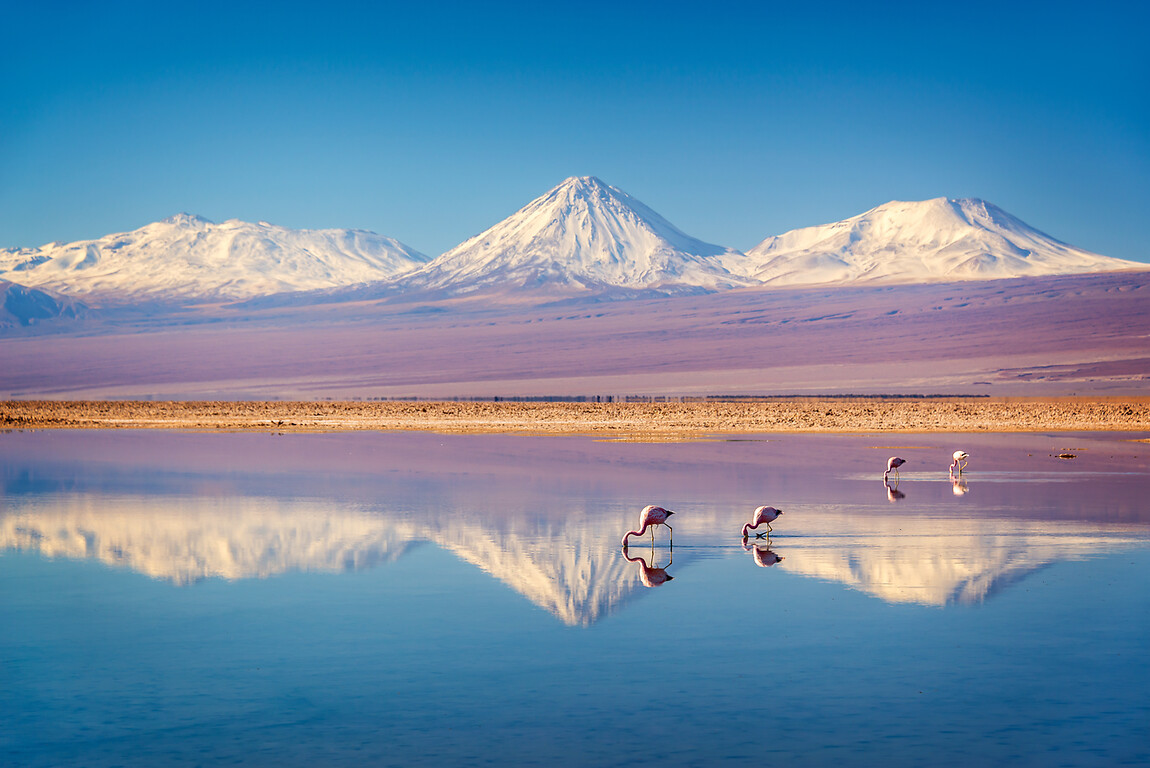 Circuit Privé au Chili : Atacama, Torres del Paine et Ile de Pâques