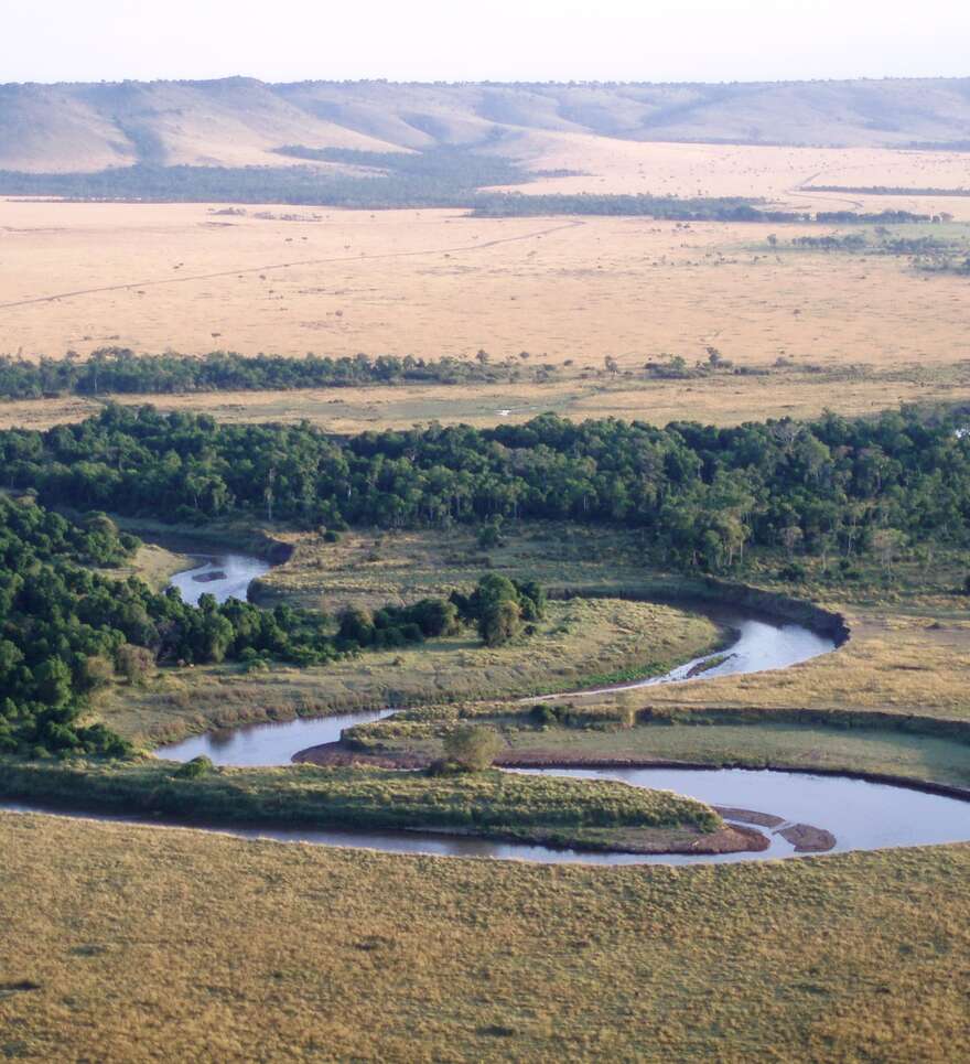 La meilleure période pour découvrir le Masai-Mara au Kenya