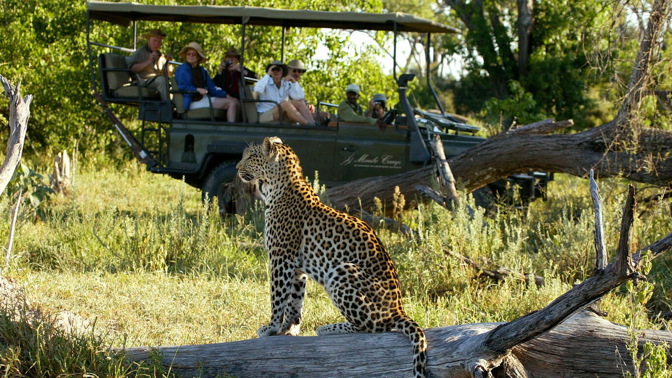 Voyage organisé au Botswana