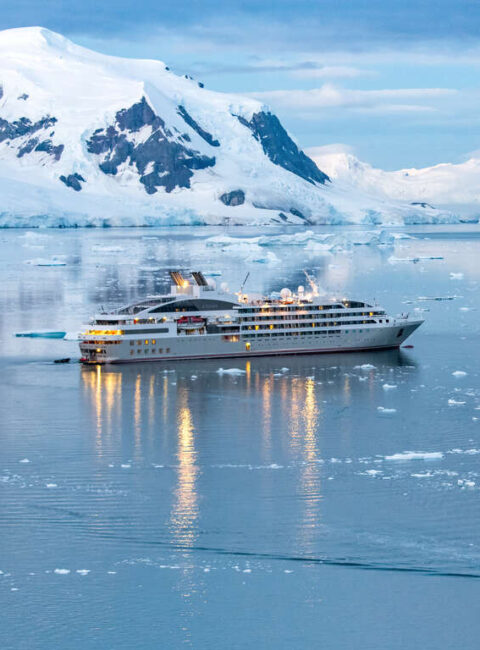 L'emblématique Antarctique avec Ponant