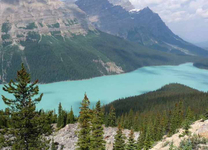 Découverte de l’Ouest canadien en petit groupe