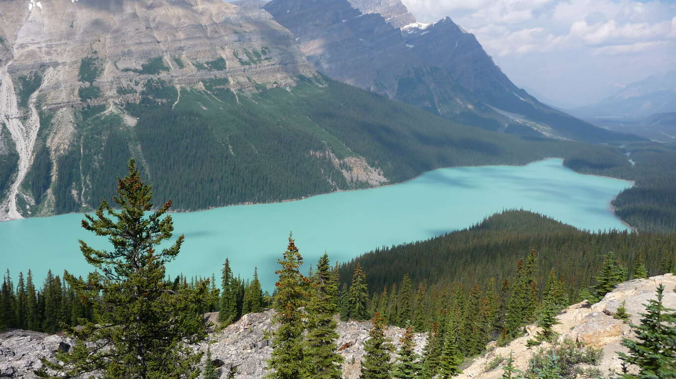 Lac Peyto, Alberta, Banff