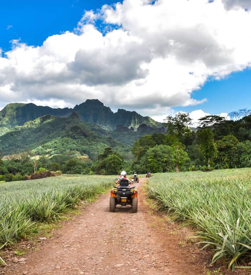 Quelles sont les activités à ne pas manquer lors d'un voyage à Moorea ?